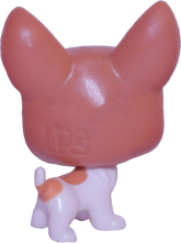 #2-94 Mini Chihuahua "Bree Lahuahua"